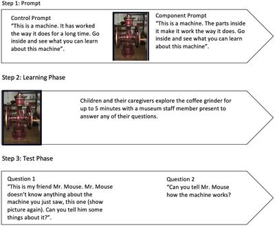 Components and Mechanisms: How Children Talk About Machines in Museum Exhibits